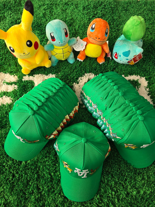 EVOLUTIONS HAT
