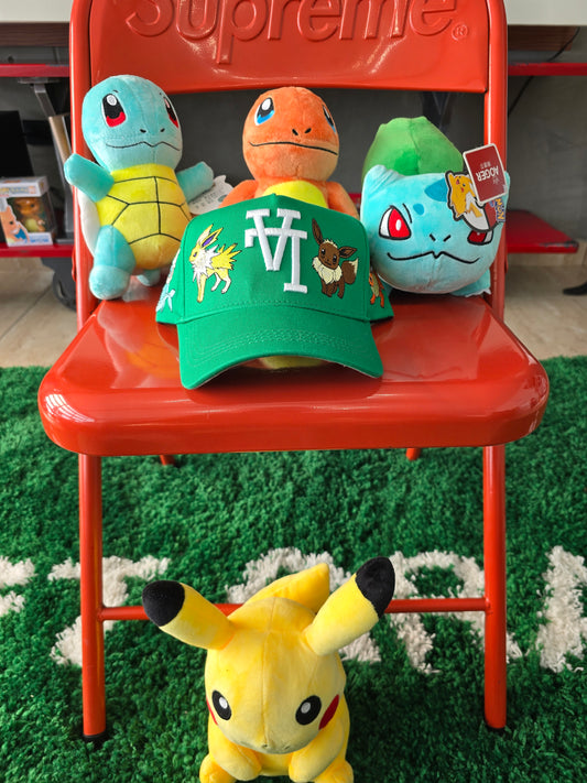 EVOLUTIONS HAT